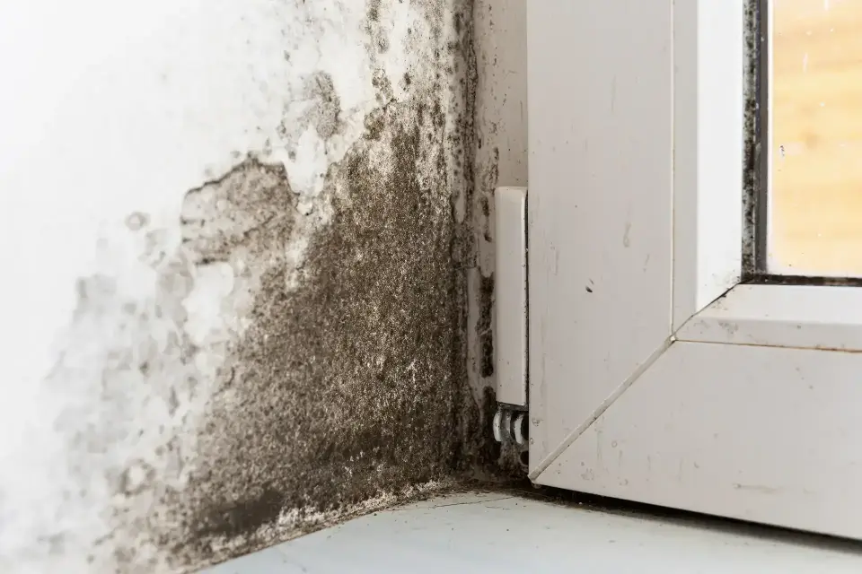 water damage restoration in Alexander, AR